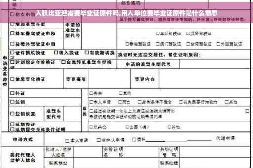 入职比亚迪需要毕业证原件吗,用人单位要毕业证原件是什么意思