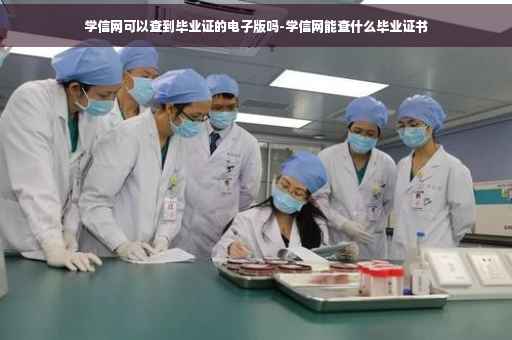 学信网可以查到毕业证的电子版吗-学信网能查什么毕业证书