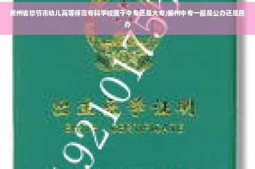 贵州省毕节市幼儿高等师范专科学校属于中专还是大专,贵州中专一般是公办还是民办