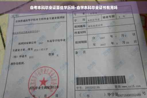 自考本科毕业证算低学历吗-自学本科毕业证书有用吗