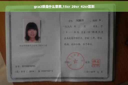 gca2级是什么意思,15cr  20cr  42cr区别
