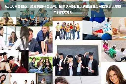 从北大青鸟毕业，颁发的是什么证书，国家认可吗,北大青鸟毕业后可以拿到大专或本科的文凭吗