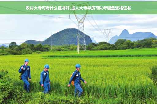 农村大专可考什么证书好,成人大专学历可以考哪些资格证书 农村大专可考什么证书好,成人大专学历可以考哪些资格证书