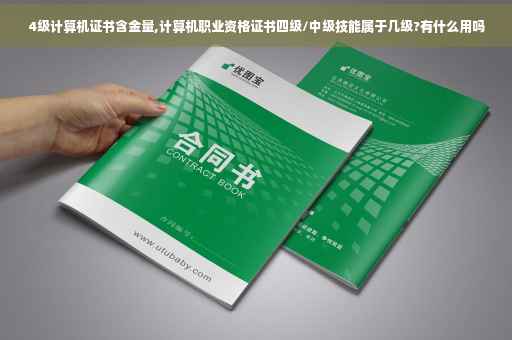 4级计算机证书含金量,计算机职业资格证书四级/中级技能属于几级?有什么用吗 4级计算机证书含金量,计算机职业资格证书四级/中级技能属于几级?有什么用吗