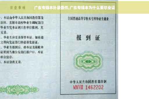 广东专插本补录条件,广东专插本为什么要毕业证