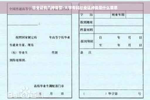 毕业证有几种类型-大学专科毕业证种类是什么意思