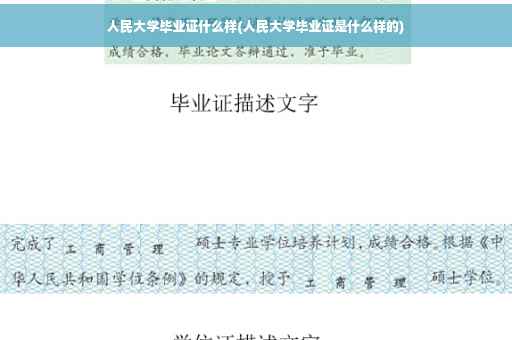 人民大学毕业证什么样(人民大学毕业证是什么样的)