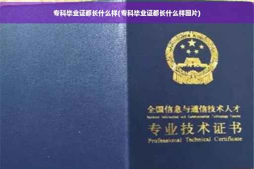 专科毕业证都长什么样(专科毕业证都长什么样图片)