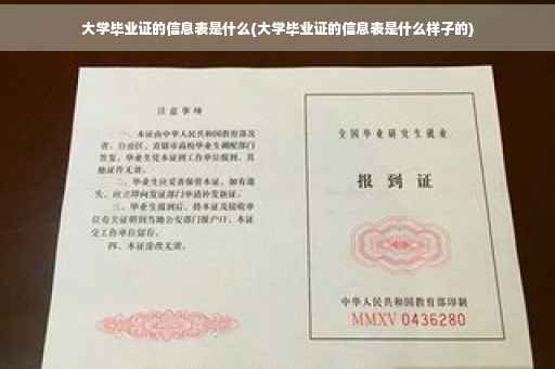 大学毕业证的信息表是什么(大学毕业证的信息表是什么样子的)