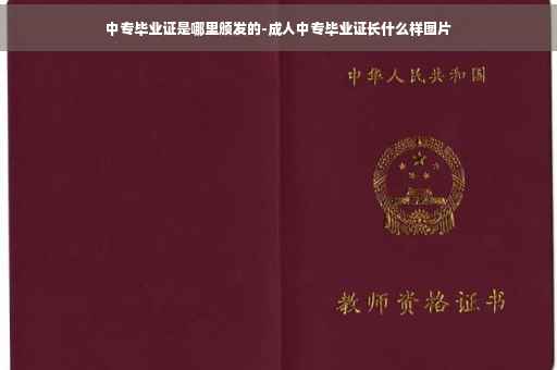 中专毕业证是哪里颁发的-成人中专毕业证长什么样图片