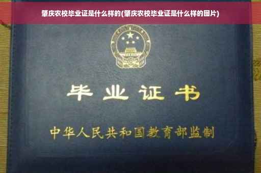 肇庆农校毕业证是什么样的(肇庆农校毕业证是什么样的图片)