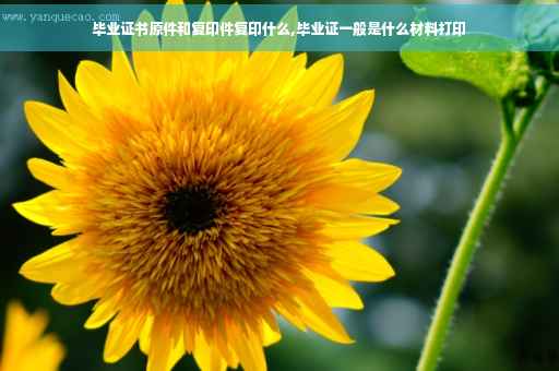 毕业证书原件和复印件复印什么,毕业证一般是什么材料打印