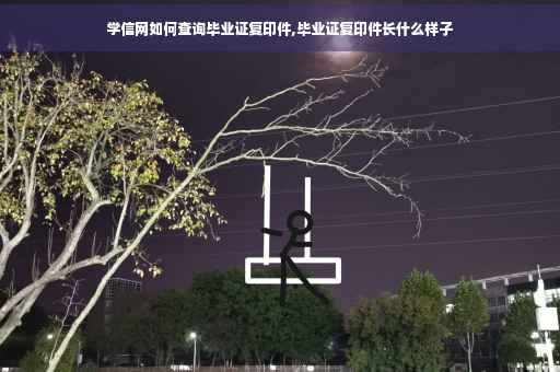 学信网如何查询毕业证复印件,毕业证复印件长什么样子
