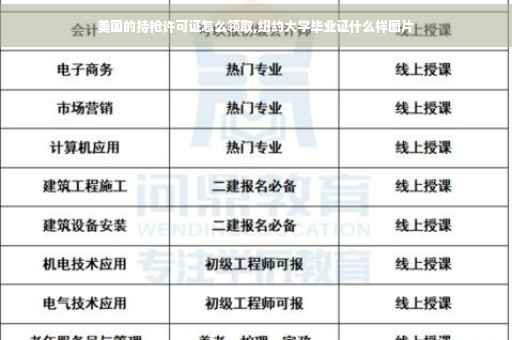 美国的持枪许可证怎么领取,纽约大学毕业证什么样图片