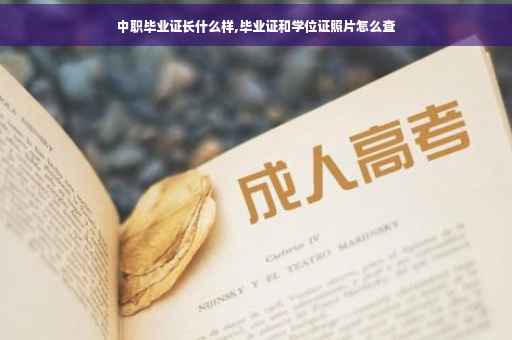 中职毕业证长什么样,毕业证和学位证照片怎么查