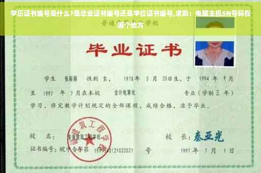 学历证书编号是什么?是毕业证书编号还是学位证书编号,求助：电脑主机SN号码在哪个地方