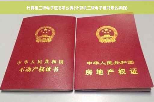 计算机二级电子证书怎么弄(计算机二级电子证书怎么弄的)