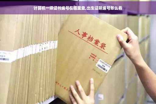 计算机一级证书编号在哪里查,出生证明编号怎么看