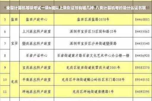 全国计算机等级考试一级b或以上级别证书有哪几种-八类计算机考的是什么证书啊