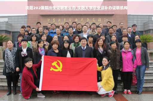 沈阳202医院出生证明怎么办,沈阳大学毕业证补办证明机构