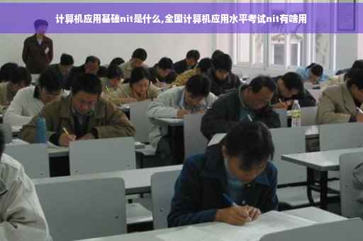计算机应用基础nit是什么,全国计算机应用水平考试nit有啥用