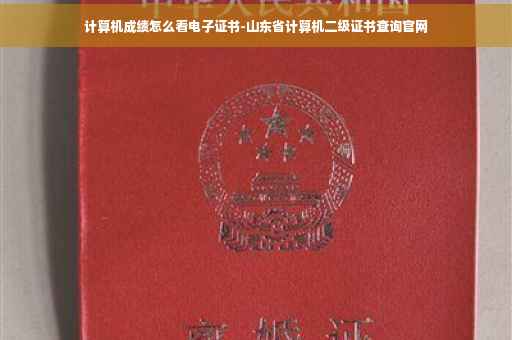 计算机成绩怎么看电子证书-山东省计算机二级证书查询官网