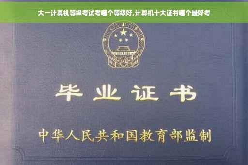 大一计算机等级考试考哪个等级好,计算机十大证书哪个最好考