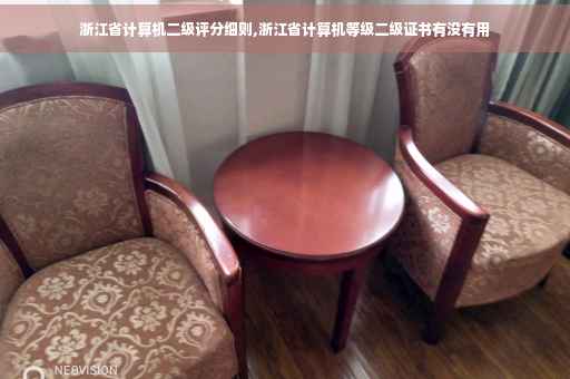 浙江省计算机二级评分细则,浙江省计算机等级二级证书有没有用