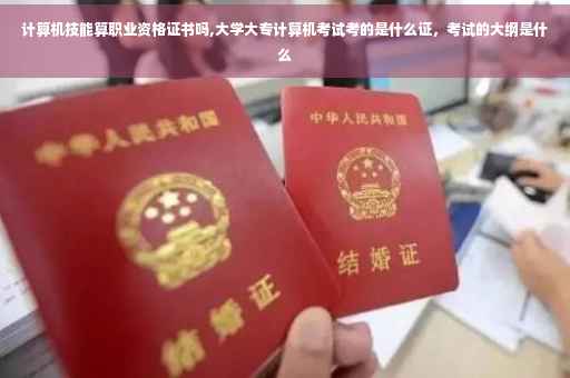 计算机技能算职业资格证书吗,大学大专计算机考试考的是什么证，考试的大纲是什么
