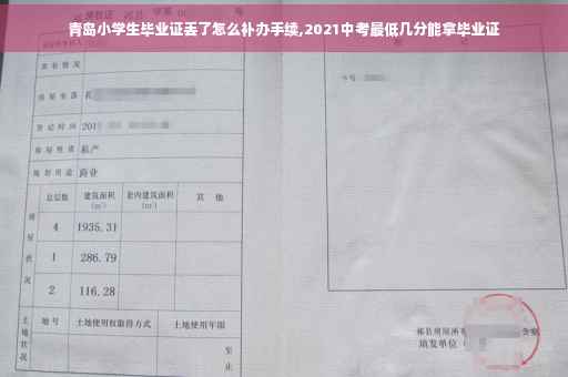 青岛小学生毕业证丢了怎么补办手续,2021中考最低几分能拿毕业证