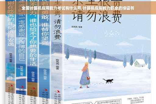 全国计算机应用能力考试有什么用,计算机应用能力职业资格证书 全国计算机应用能力考试有什么用,计算机应用能力职业资格证书