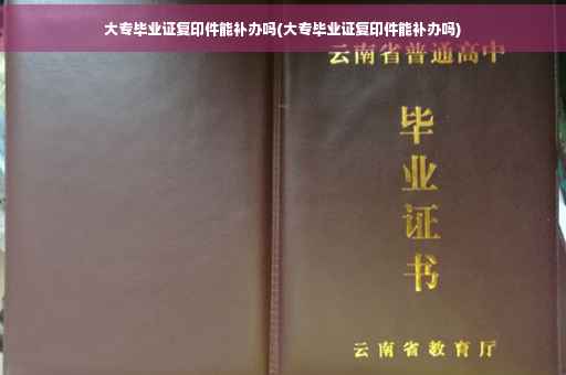 大专毕业证复印件能补办吗(大专毕业证复印件能补办吗)