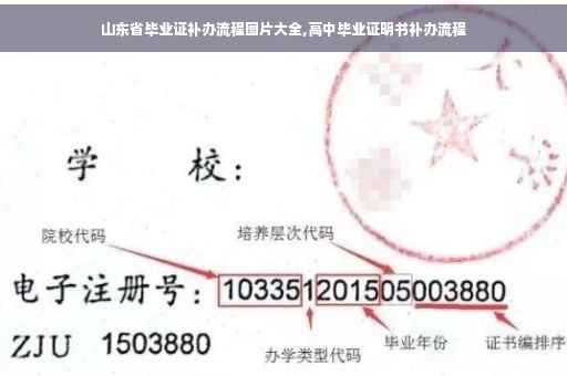 山东省毕业证补办流程图片大全,高中毕业证明书补办流程