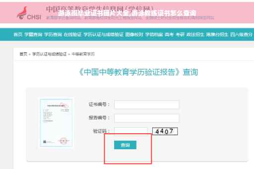 游泳班毕业证书图片大全,游泳教练证书怎么查询