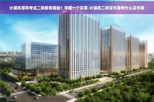 计算机等级考试二级都有哪些？学哪一个实用-计算机二级证书要考什么证书呢