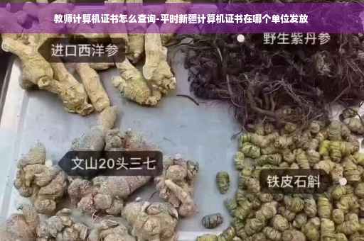 教师计算机证书怎么查询-平时新疆计算机证书在哪个单位发放