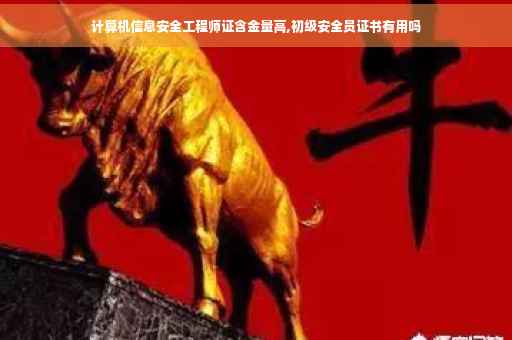 计算机信息安全工程师证含金量高,初级安全员证书有用吗