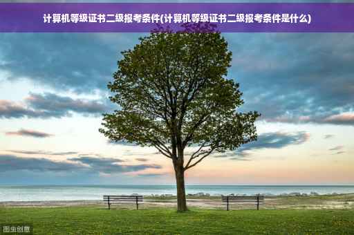 计算机等级证书二级报考条件(计算机等级证书二级报考条件是什么)