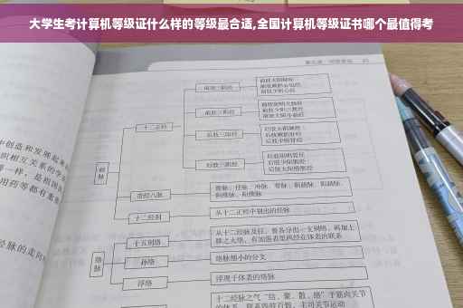 大学生考计算机等级证什么样的等级最合适,全国计算机等级证书哪个最值得考