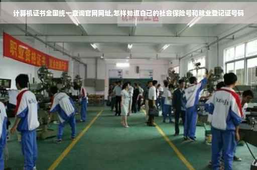 计算机证书全国统一查询官网网址,怎样知道自已的社会保险号和就业登记证号码