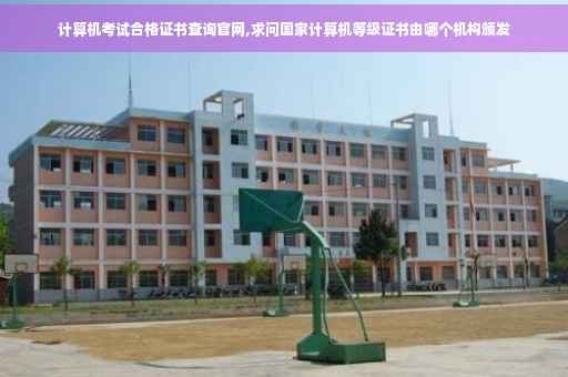 计算机考试合格证书查询官网,求问国家计算机等级证书由哪个机构颁发