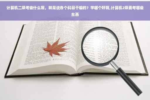 计算机二级考些什么啊，就是说各个科目干嘛的？学哪个好啊,计算机2级要考哪些东西