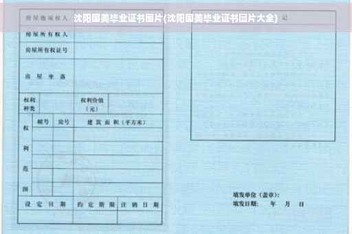 沈阳国美毕业证书图片(沈阳国美毕业证书图片大全)