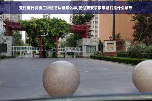 支付宝计算机二级证书认证怎么弄,支付宝安装数字证书是什么意思