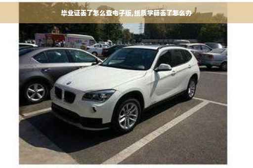 毕业证丢了怎么查电子版,纸质学籍丢了怎么办