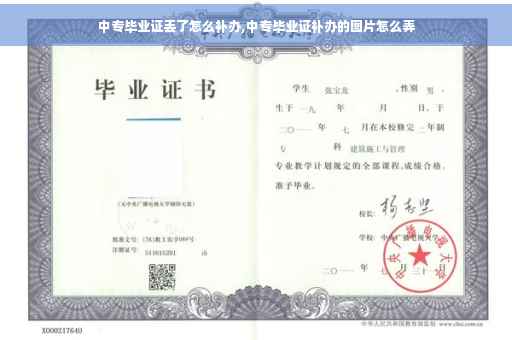 中专毕业证丢了怎么补办,中专毕业证补办的图片怎么弄