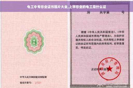 电工中专毕业证书图片大全,上学毕业的电工是什么证