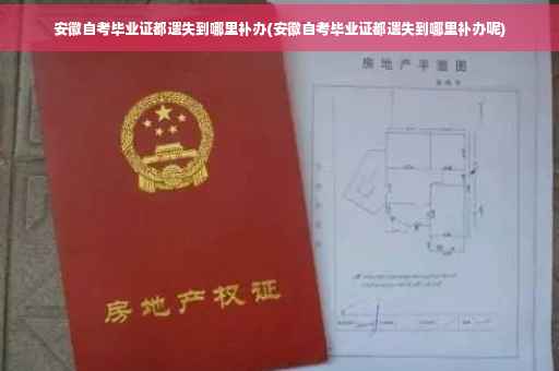 安徽自考毕业证都遗失到哪里补办(安徽自考毕业证都遗失到哪里补办呢)
