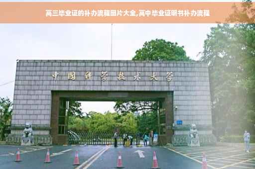 高三毕业证的补办流程图片大全,高中毕业证明书补办流程
