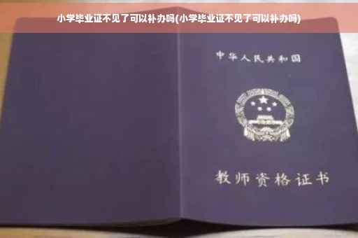 小学毕业证不见了可以补办吗(小学毕业证不见了可以补办吗)